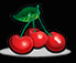 A group of cherries on a plate

Description automatically generated with medium confidence